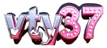 vty37 logo